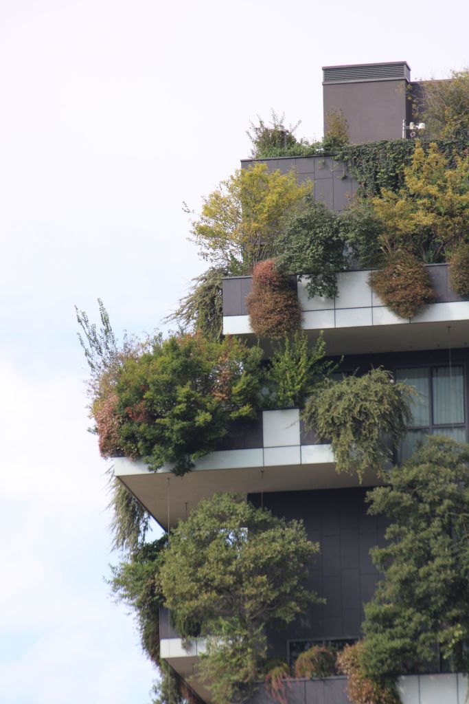 Milano, İtalya'da Bosco Verticale'nin ağaç ve bitkilerle kaplı yeşil cephesi, gökyüzüne yükselen ikiz kuleler